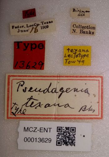Media type: image;   Entomology 13629 Aspect: labels